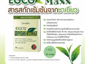 EGCG Maxx